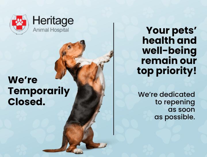 Important Update: Heritage Animal Clinic Temporarily Closed